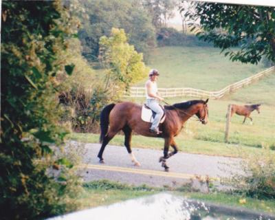 Maureen Haley