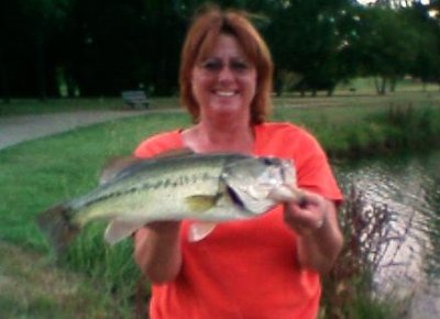 Renee Lowe