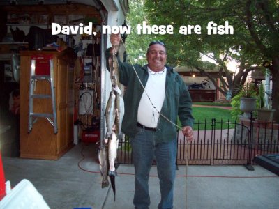 David Medina