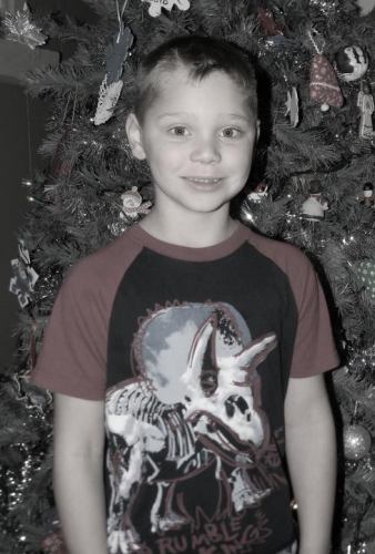 Lona Noll