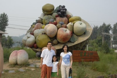 Xin Ding