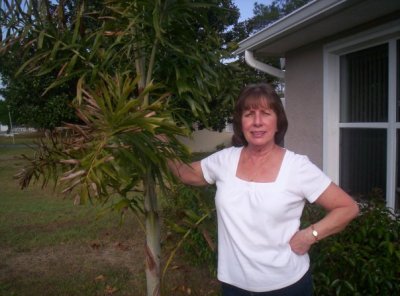 Eileen Ross