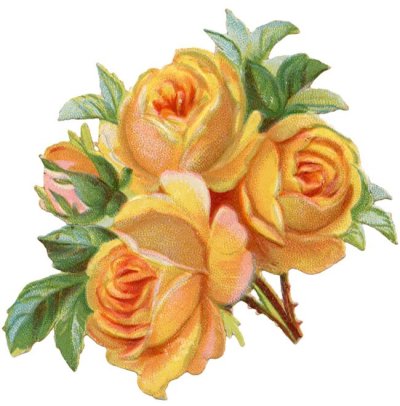 Judy Sprouse