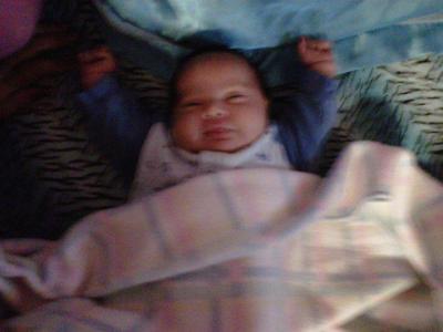 Shannon Coronel