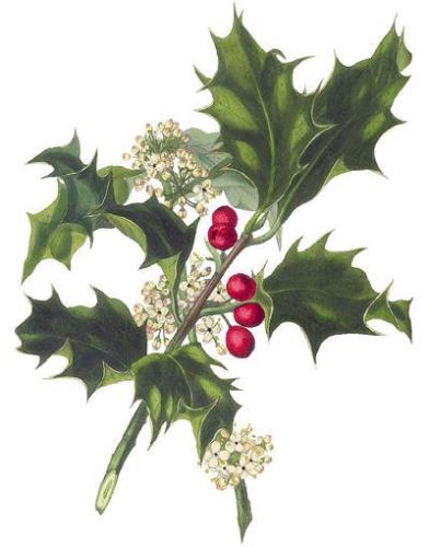 Mary Corey
