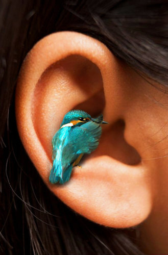 Birdie Little