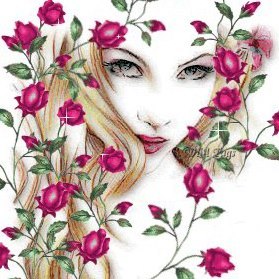 Donna Mc Nemar