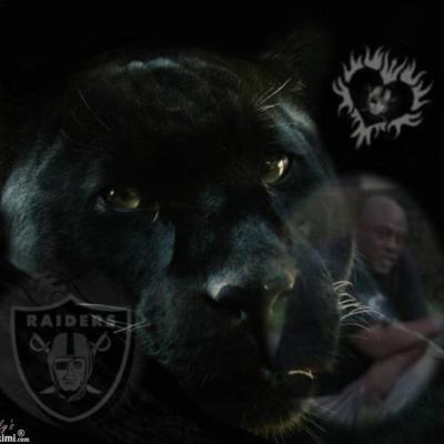 Michael Taylor