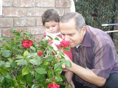 Assaad Elassaad