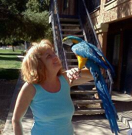 Brenda Blouin