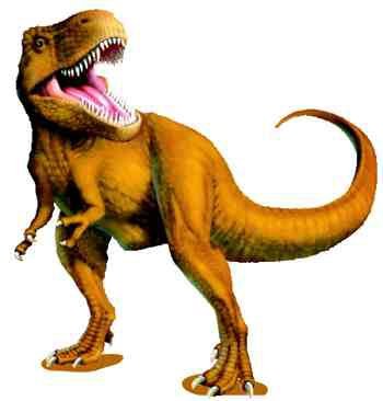 Rex Wright