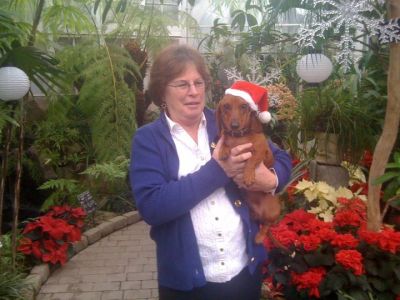 Diane Palmquist