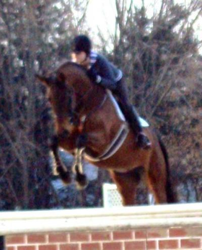 Francine Hammen