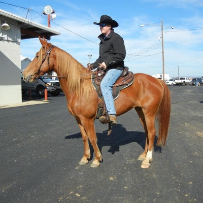 Joshua Kight