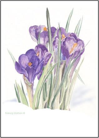 Maureen Fritsch