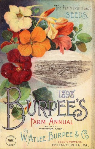 Laura Foster