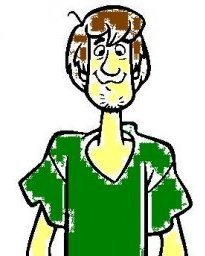 Steven Sopko