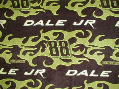 Dale Hammerschmidt