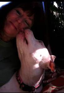 Lori Gardella