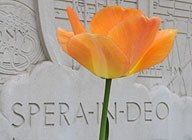 Deborah Nykamp