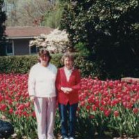 Vicki Harris