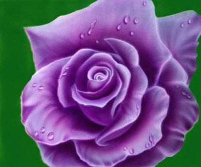 Jeanette Wilson