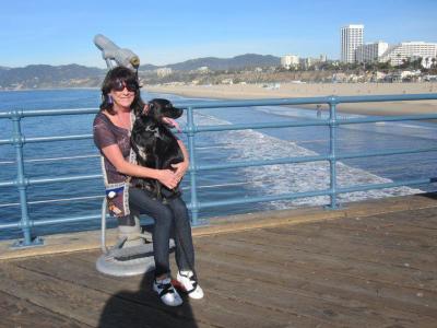 Carol Stewart