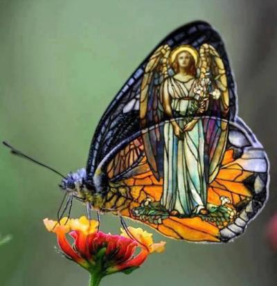 Mary Arnst