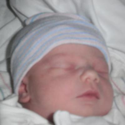 Andrew Stegmeier