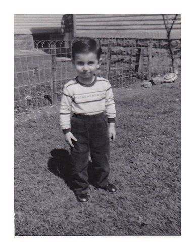 David Serianni