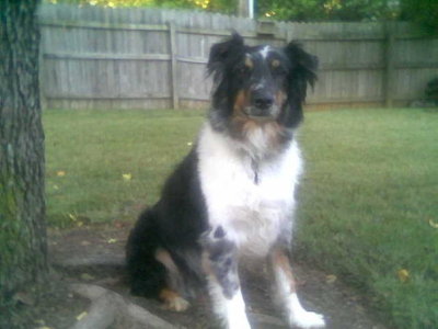 Fredrick Tucker