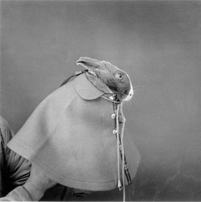 Marieke Wood
