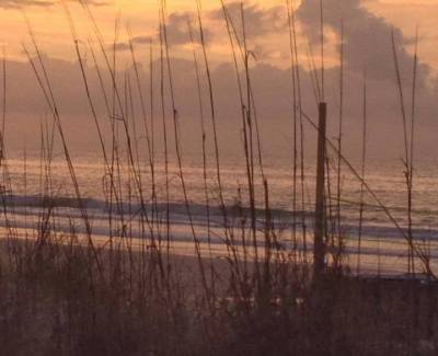 Kathy Showalter