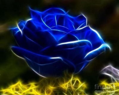 Lisa Hendershot