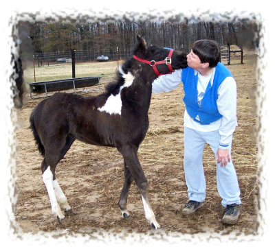 Elaine Morrill