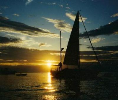 Robert Waugh
