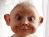 Kermit Anderson