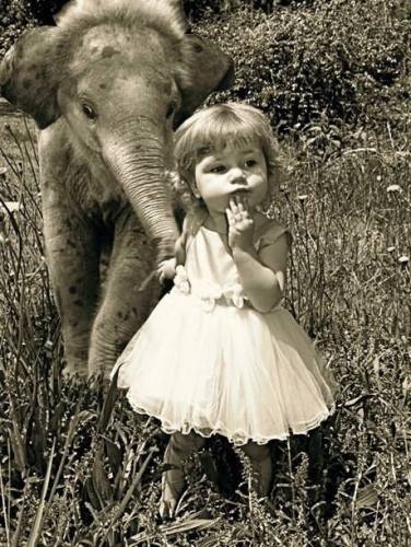 Cynthia Whitlock