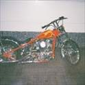 Wayne Mcgaughran