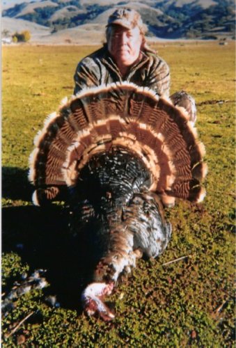 Kevin Quinn