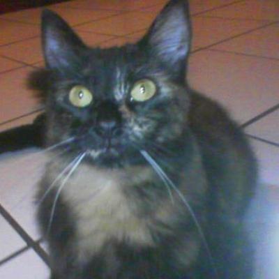 Marie Boo