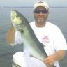 Chris Dallin