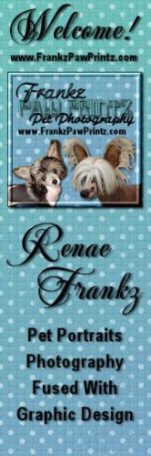 Renae Evans
