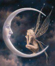 Donna Kruder