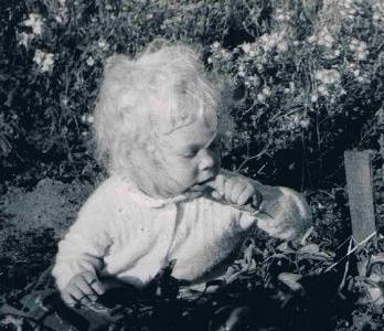 Norell Shute