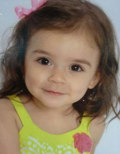Darcy Dinneny