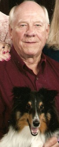 David Stein