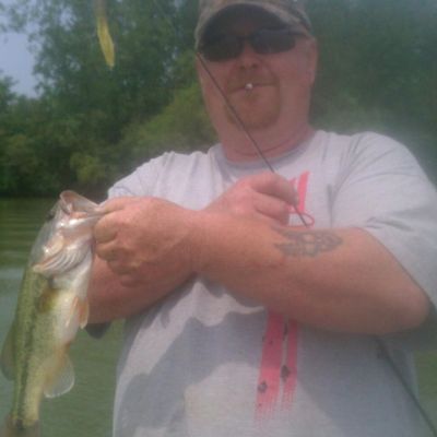 Terry George