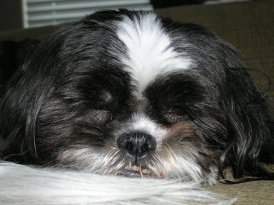 Ruby Tillman