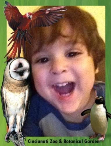 Hatem Fadel